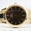 Часы Daniel Wellington Iconic Link Amber DW00100462 фото 5